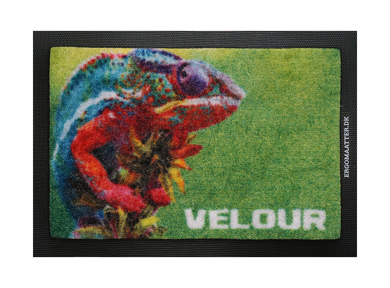 Velour-web